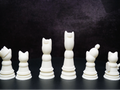 ~Cat Chess Set!~