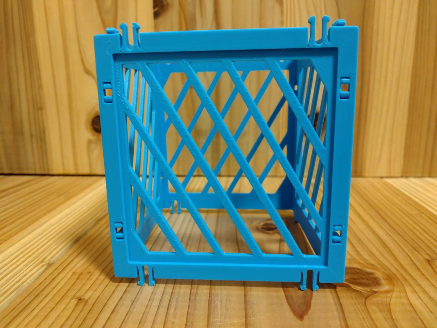 EduColon Capsule Holder Remix (with Slit Windows)