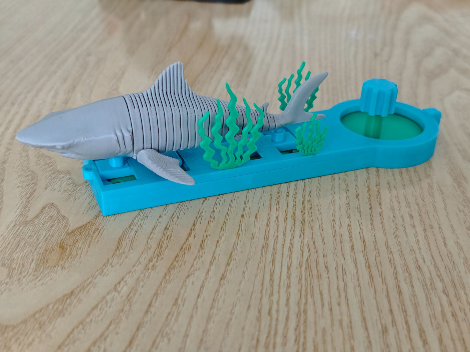 Swimming Shark