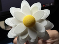 Daisy Flower Spiral Spinner Fidget