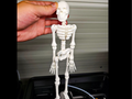 Flexi skeleton